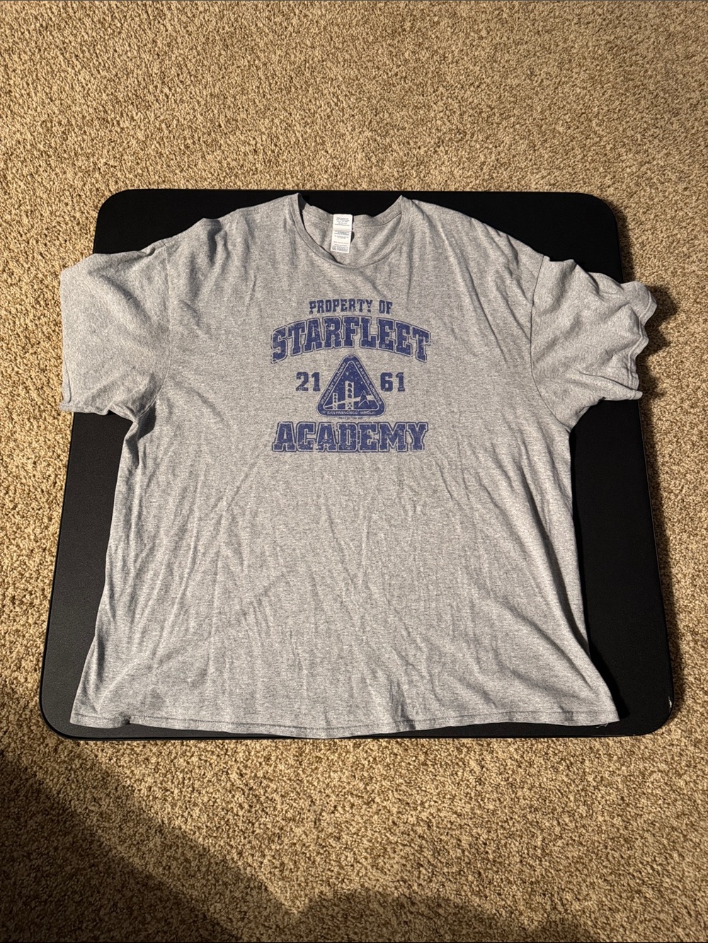 Anvil Gray Starfleet Academy Graphic Tee - Gray & Blue